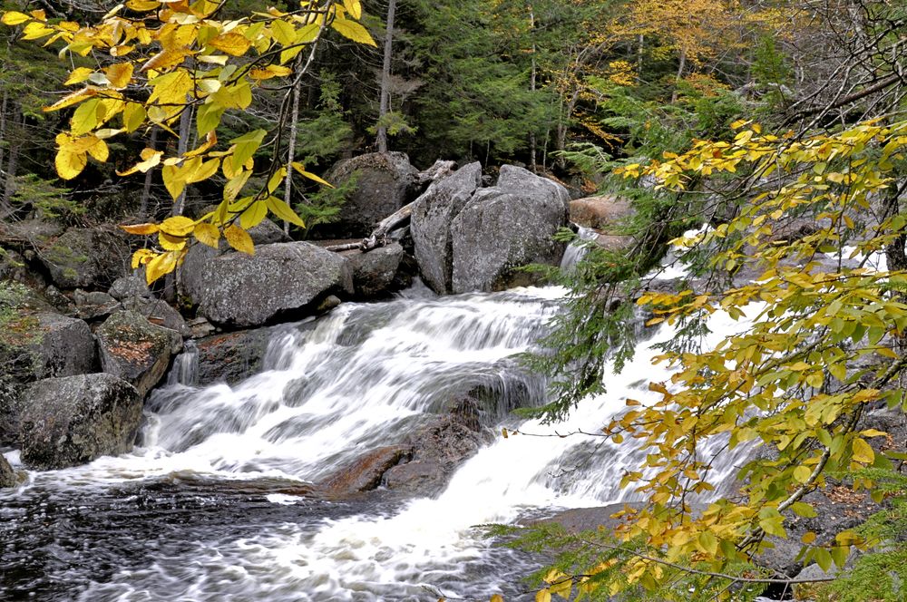 Short waterfall at White Mountains National Forest