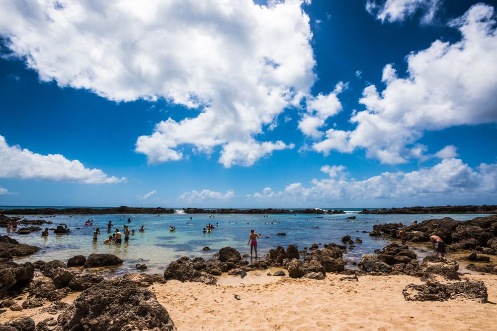 People at Shark’s Cove