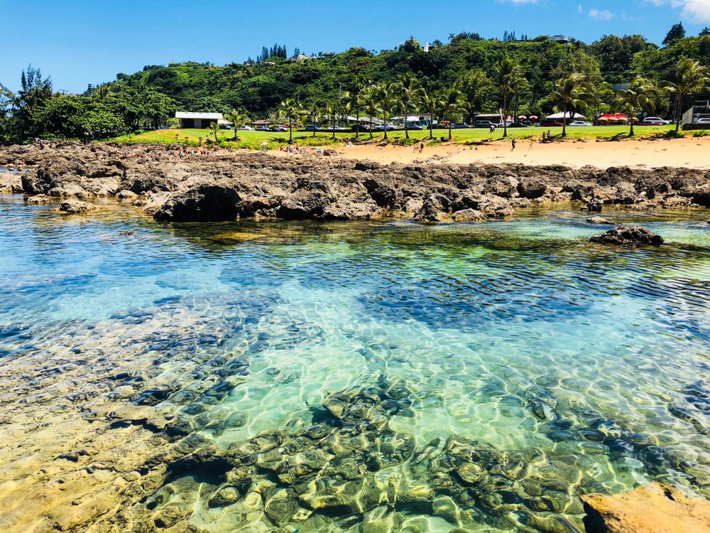 The waters of Shark’s Cove