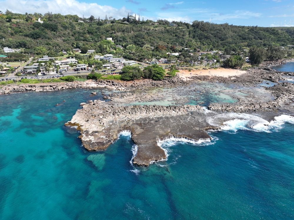 Aerial view of Shark’s Cove