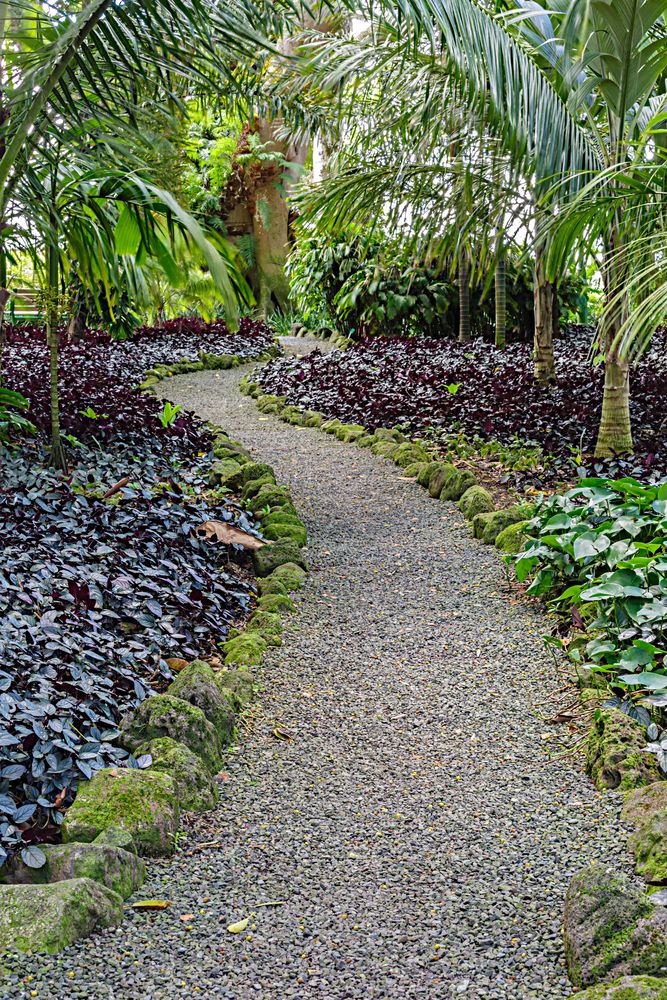 Gravel pathway lined with plants at Wahiawa Botanical Garden