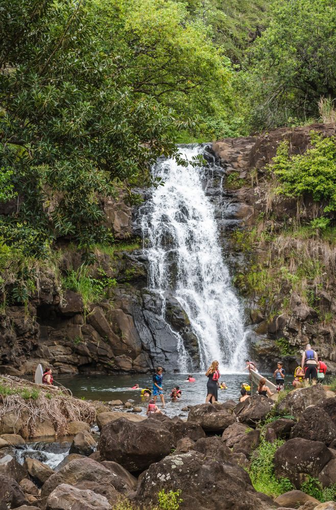 People swimming at Waimea Falls