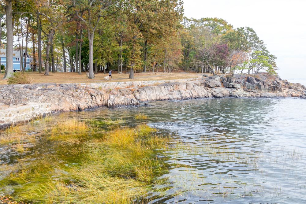The waters of Larchmont Manor Park
