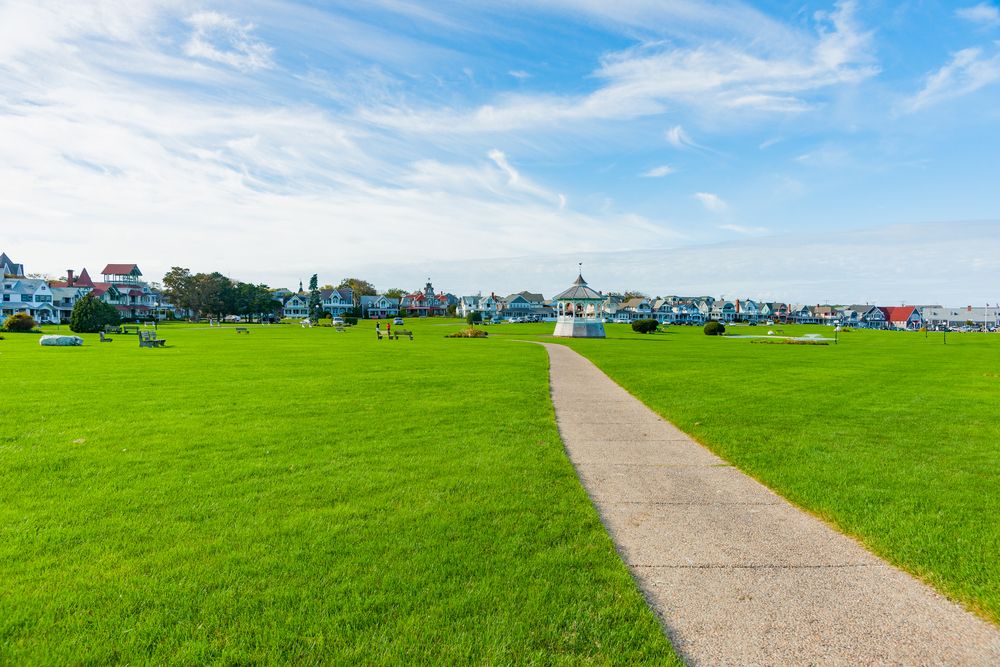 Landscape of Ocean Park