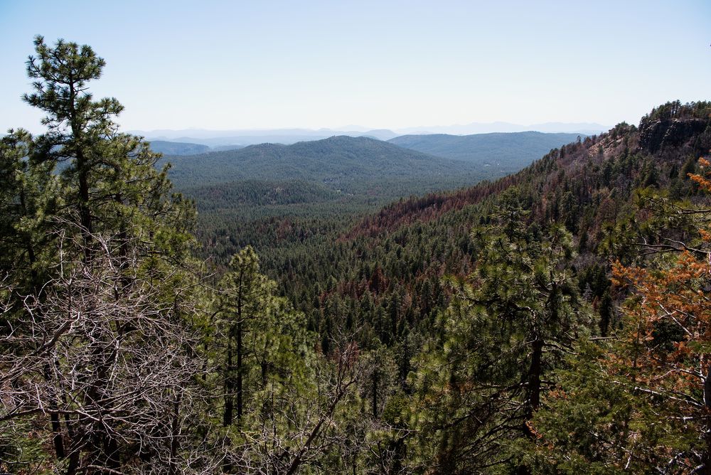 Aerial view of Mogollon Rim Visitor Center