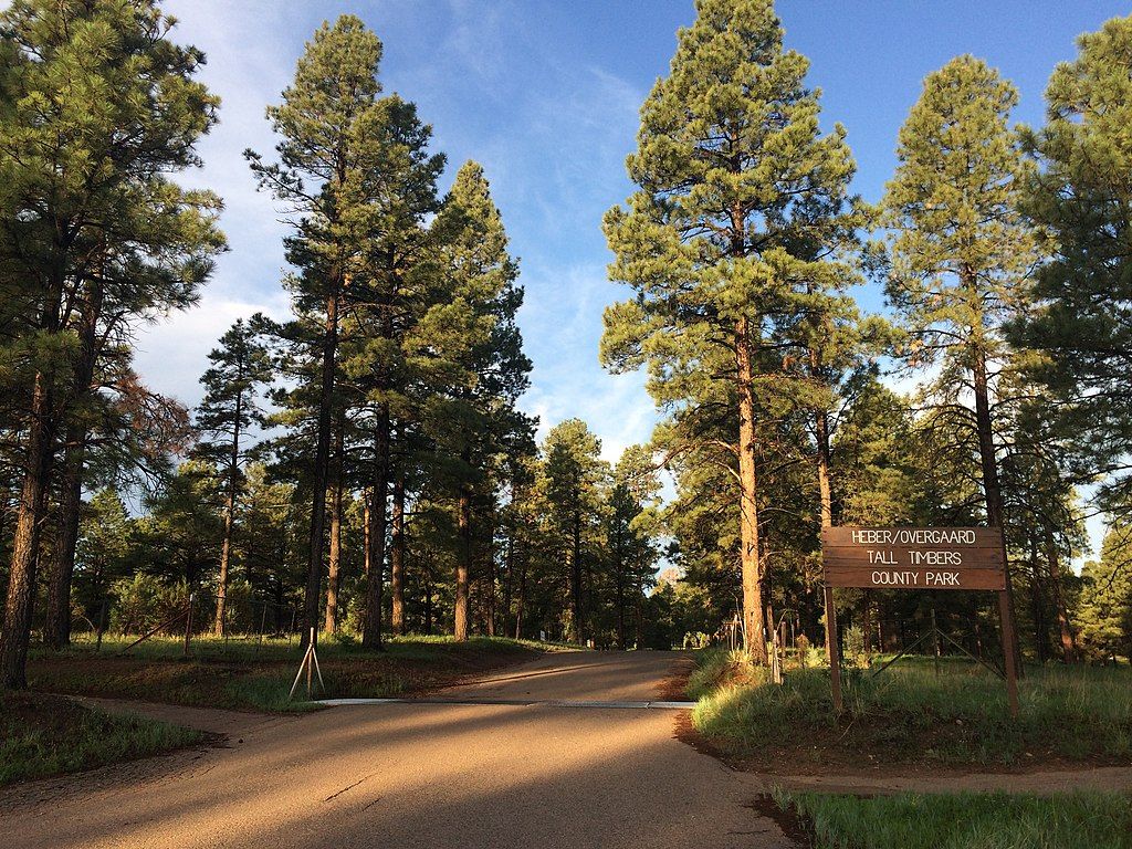 Entrance to the Tall Timbers County Park