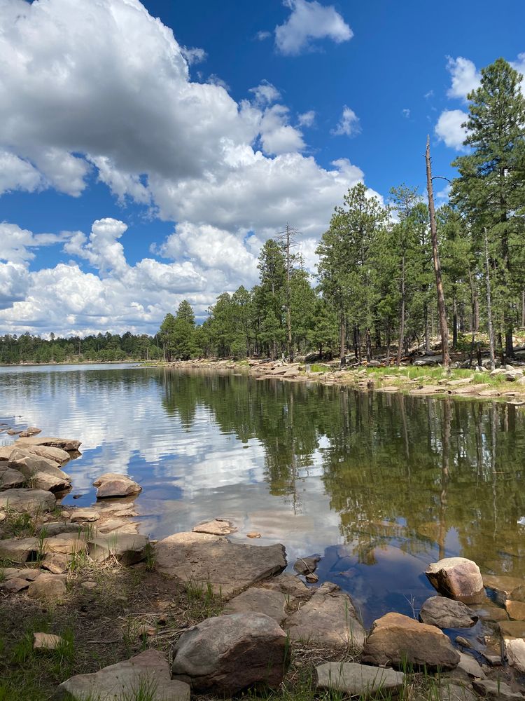 The waters of Willow Springs Lake
