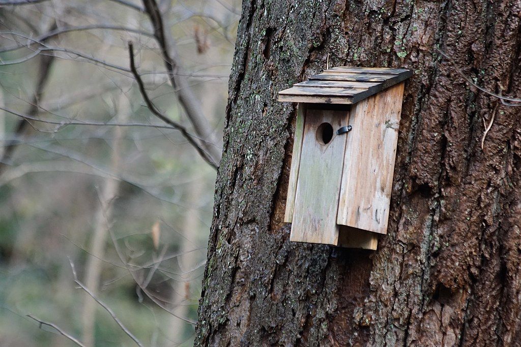 A birdhouse at Theodore Roosevelt Sanctuary and Audubon Center