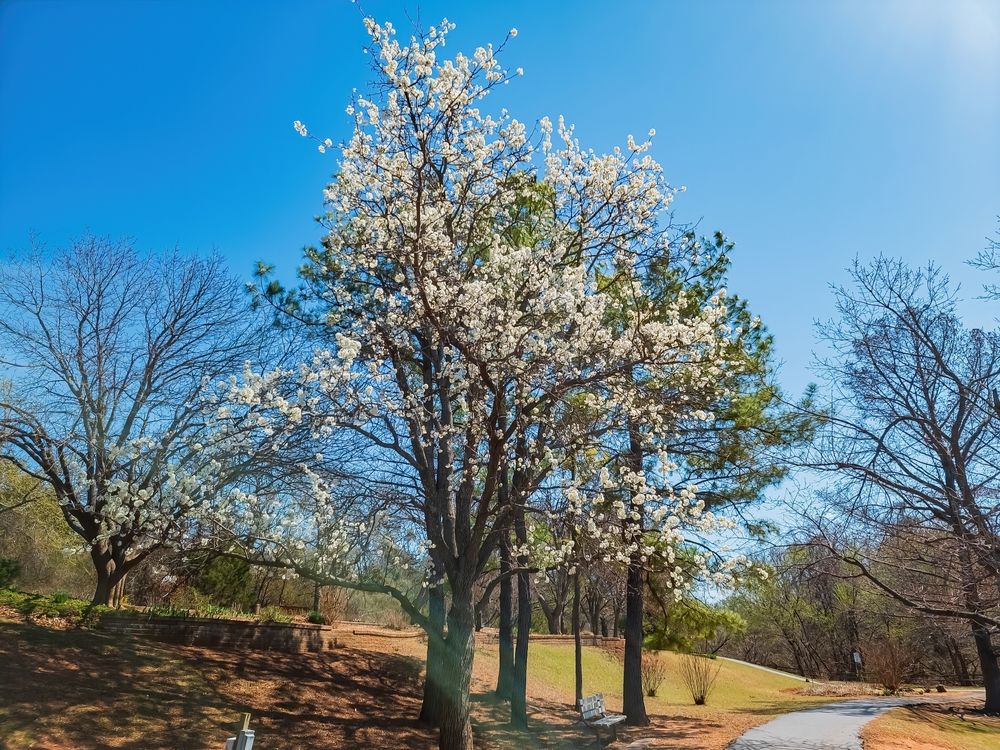 Trail at E.C. Hafer Park