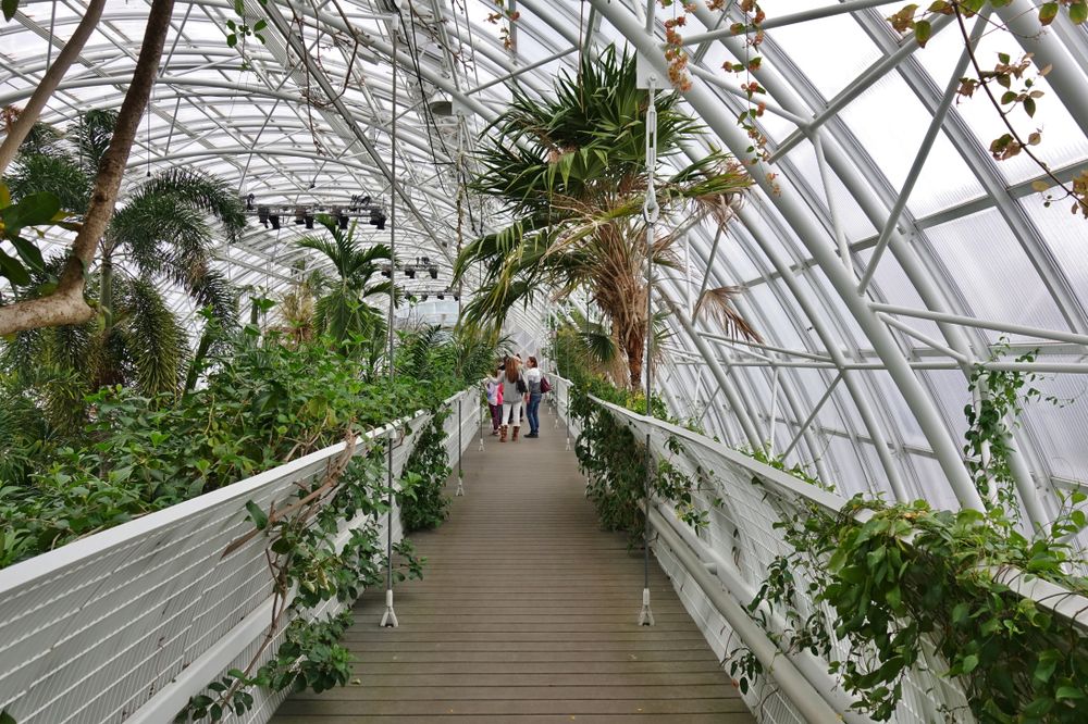 Interior of Myriad Botanical Gardens