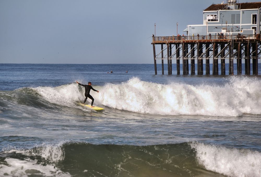 Surfer at the Harbor