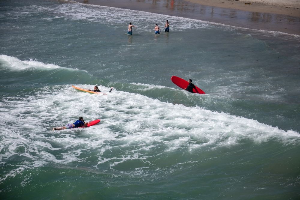People surfing at the Harbor