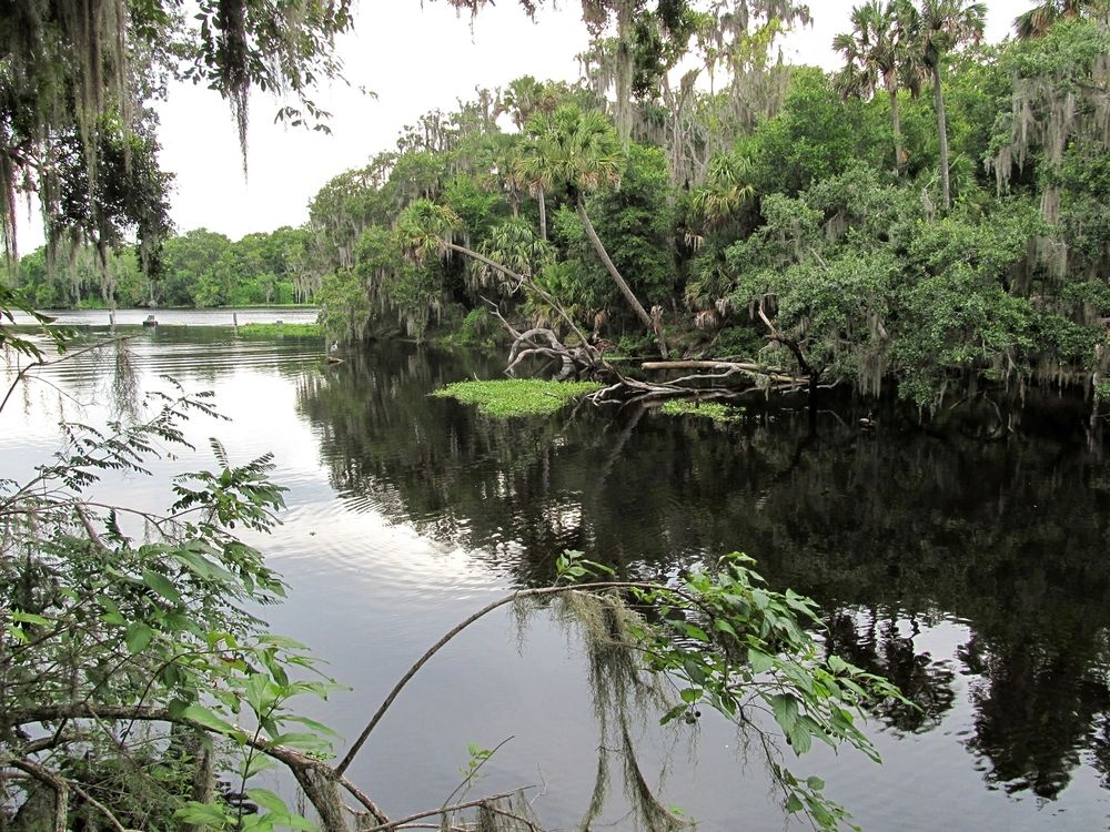 The waters of Alexander Springs