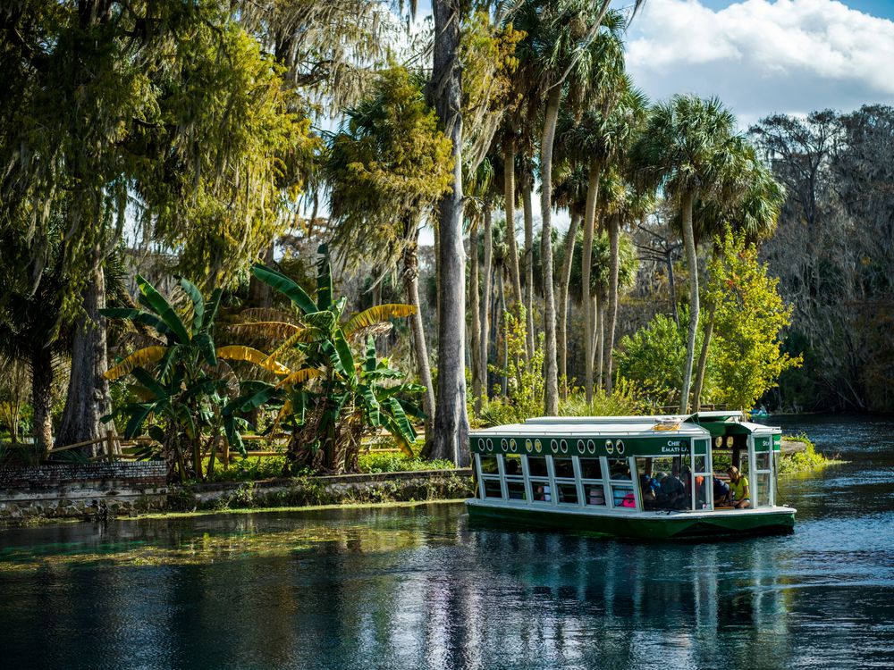 People on a glass bottom boat at Silver Springs State Park