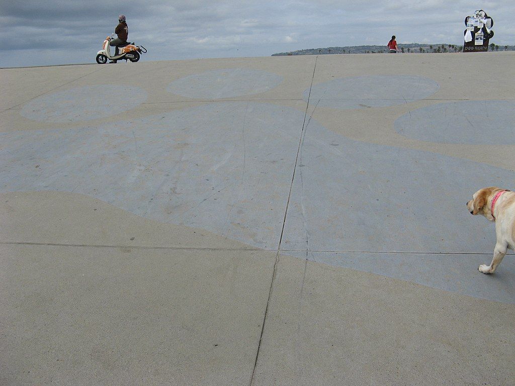 Giant paw print on the ground of dog beach.
