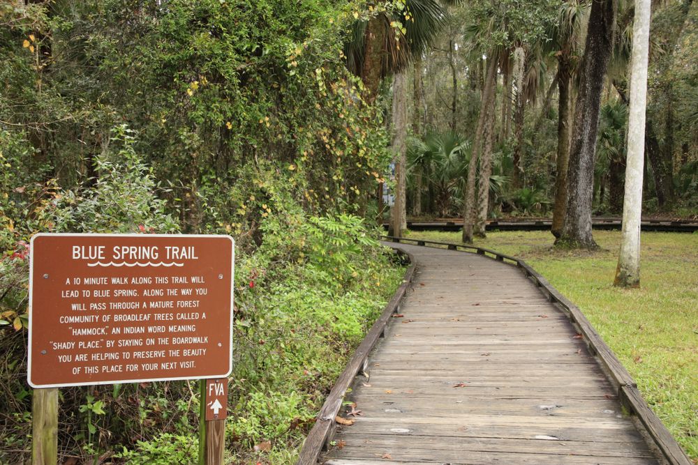 Blue Spring trail boardwalk sign and pathway