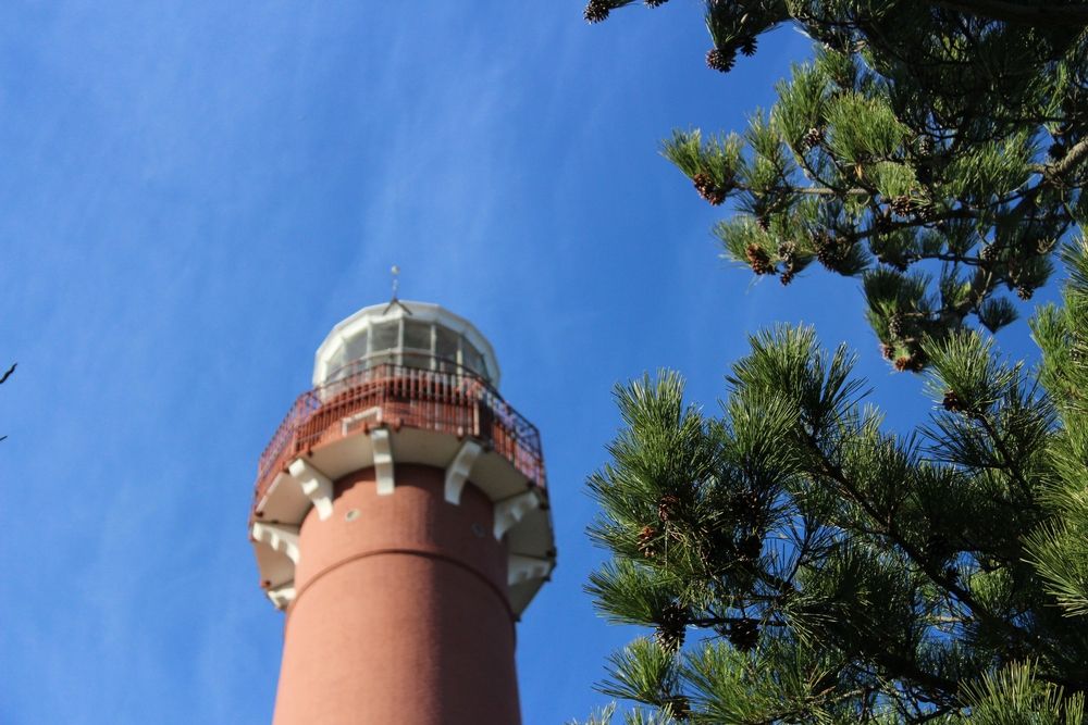 The top of the Barnegat Lighthouse