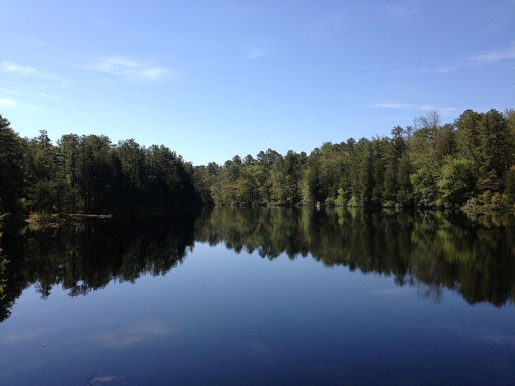 The waters of Brendan T. Byrne State Forest