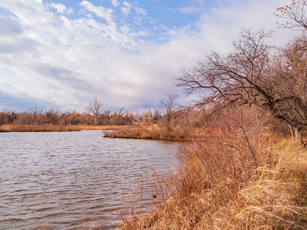 The waters of Bluff Creek Park