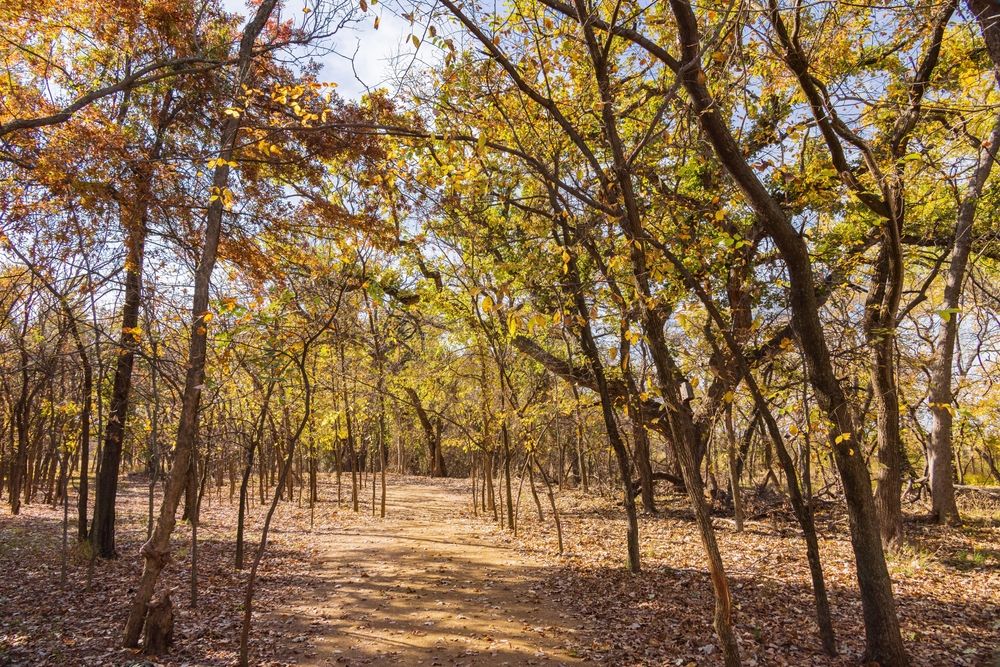 Nature trail at Martin Park Nature Center