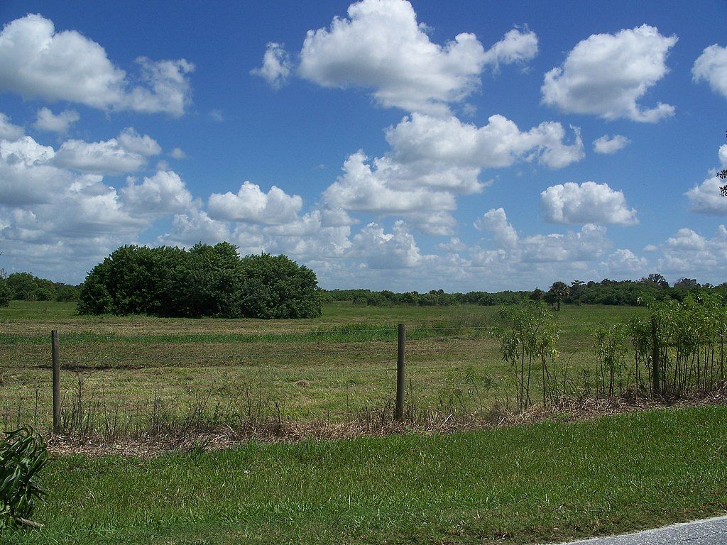 Field at Okeechobee Battlefield Historic State Park.