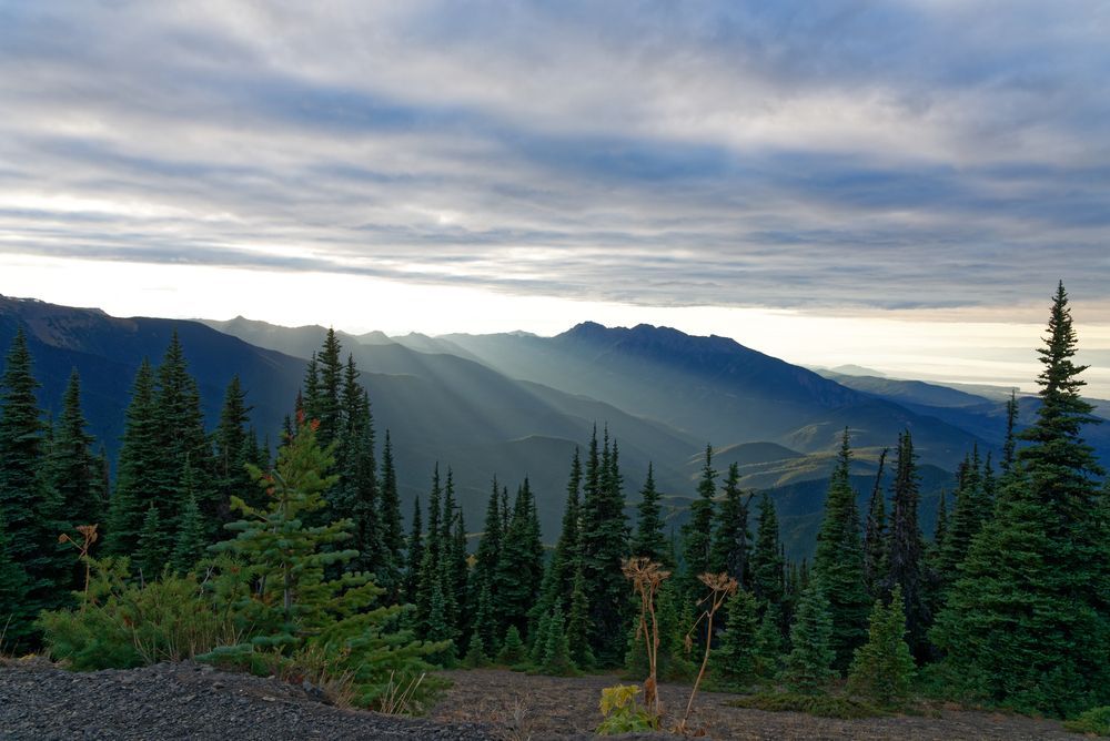 Olympic National Park