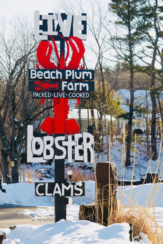 Signage of Beach Plum Farm