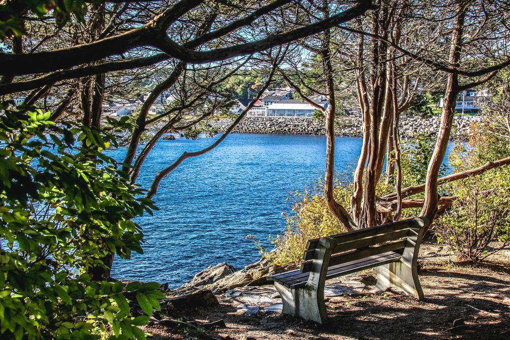 A bench at Marginal Way overlooking the ocean