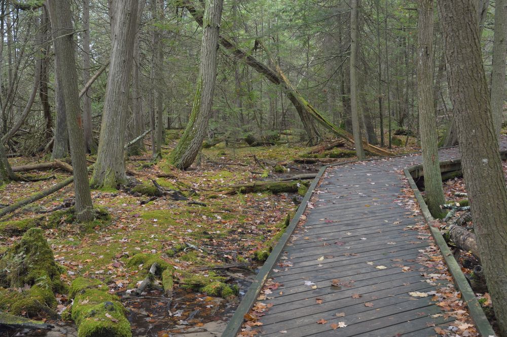 View of Picturesque Largo Springs