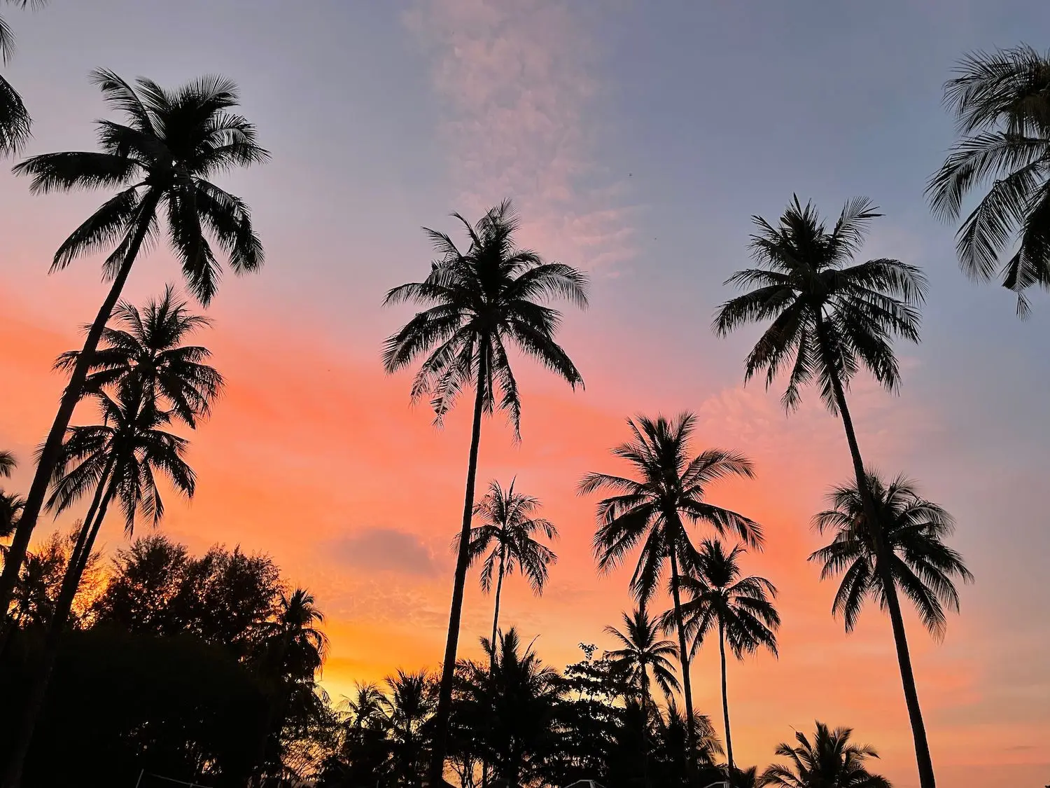 15 Best Things to Do in Orange Park, FL