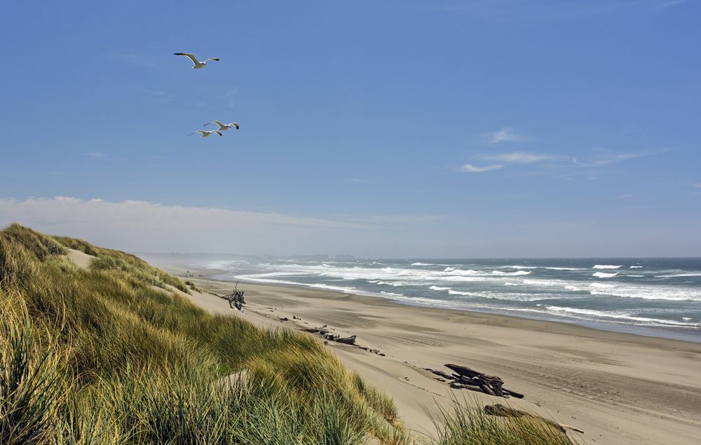 Sunny day at Bullards Beach State Park