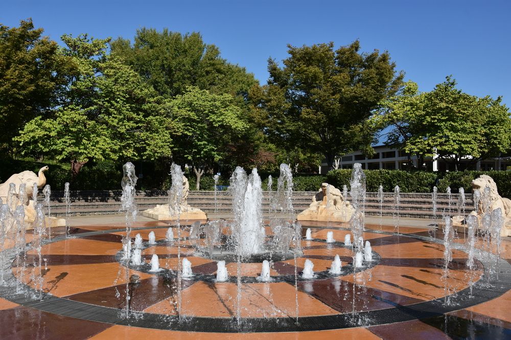 Water fountain at Coolidge Park