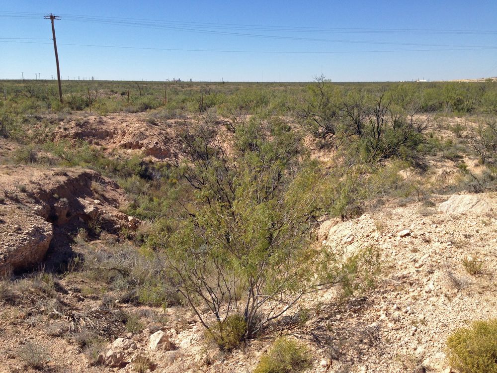 Site of the Odessa Meteor Crater