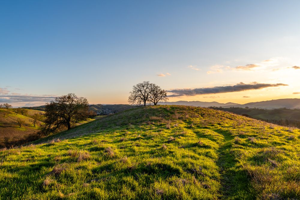 Scenic view of Mount Diablo State Park