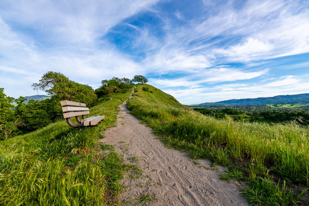 A trail at Mount Diablo State Park