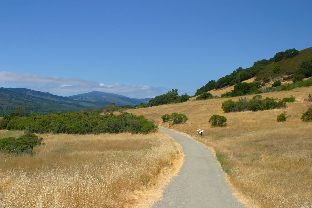 View of  Rancho San Antonio County Park & Open Space Preserve