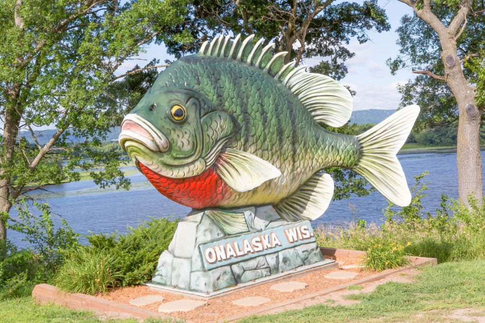 Daytime view of Sunny the Sunfish