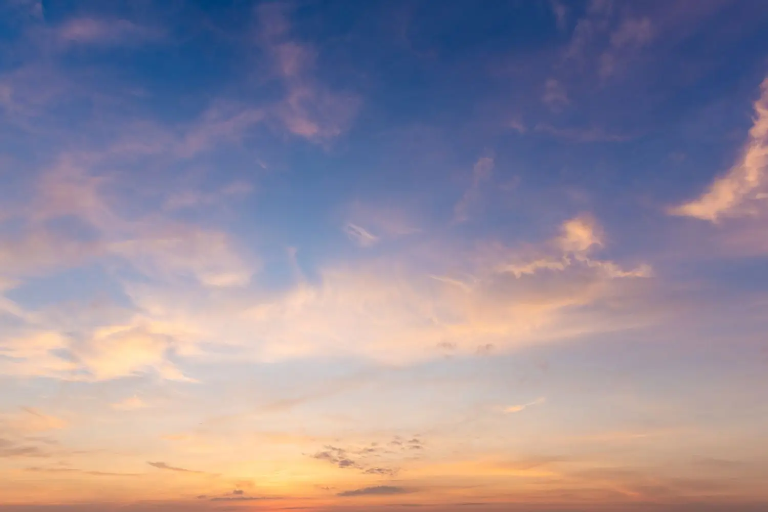 15 Best Things to Do in Palm City, FL