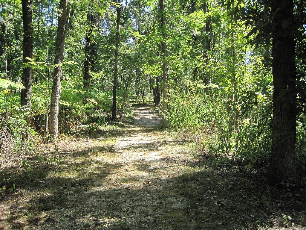 Nature trail at Lake Frierson State Park