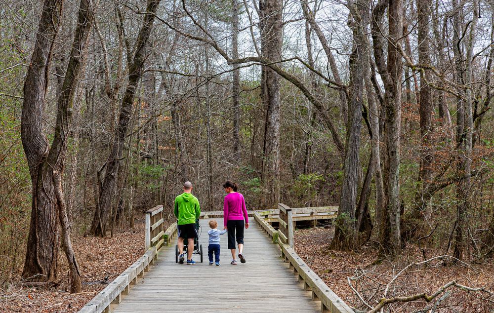 A Family in Big Creek Greenway