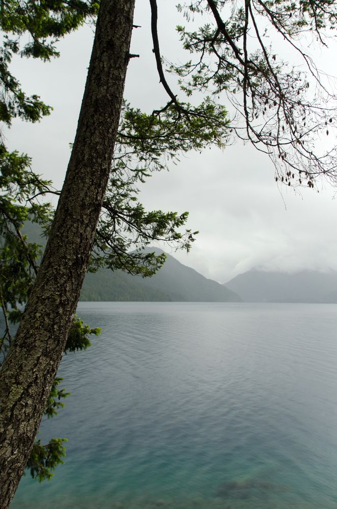 The calm waters of Lake Crescent