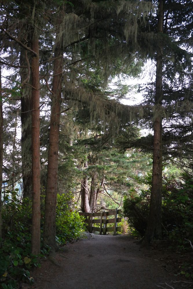 Nature trail at Salt Creek Recreation Area