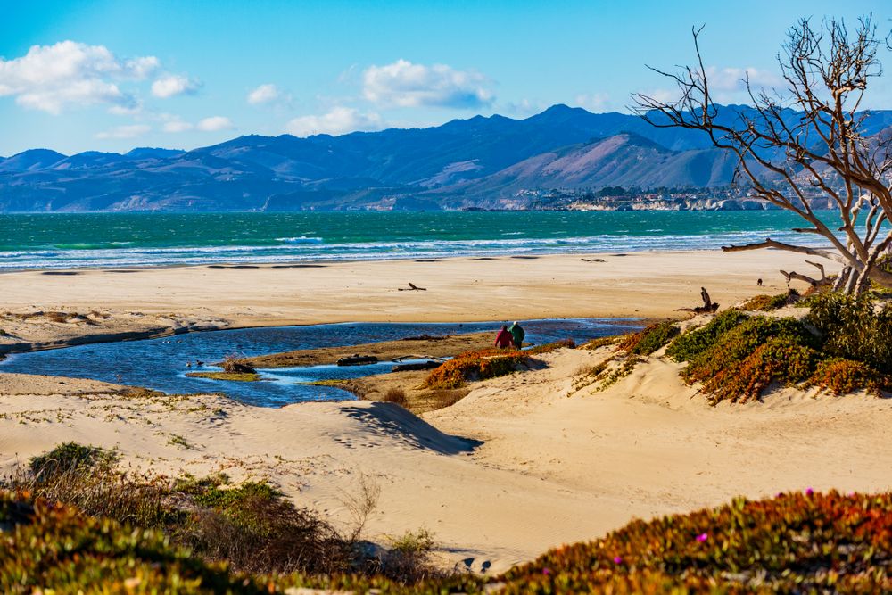 The sands of North Beach Campground