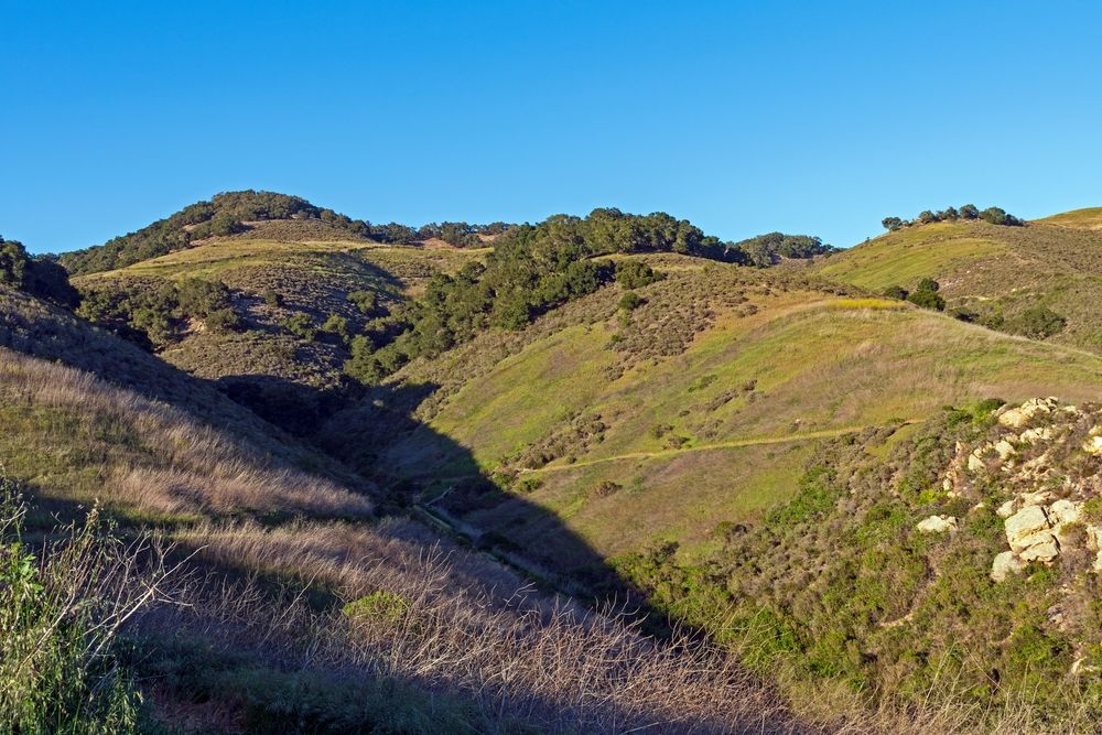 Hills at Pismo Preserve
