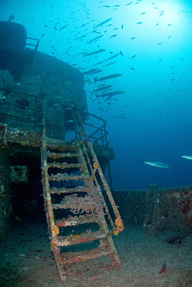 View a shipwreck while scuba diving in pompano beach
