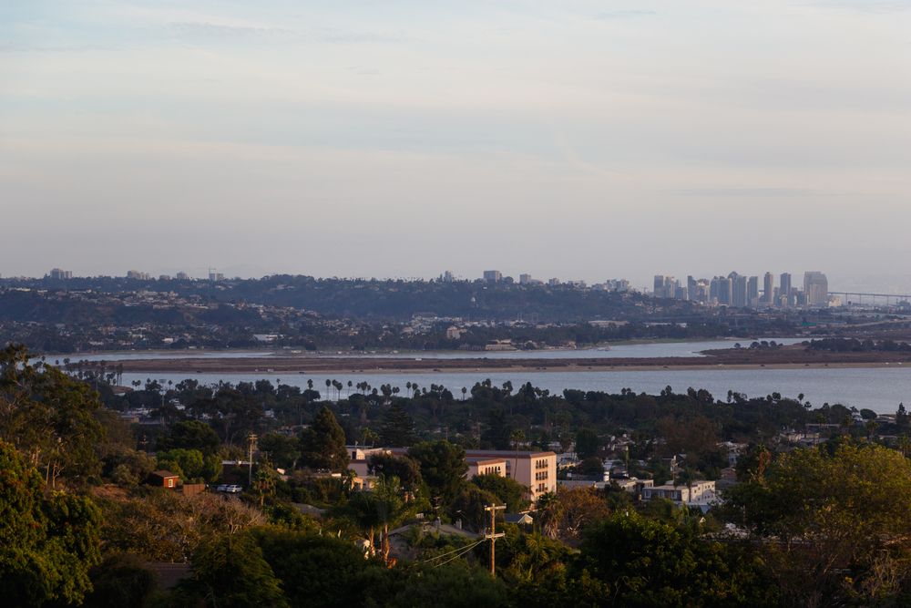 View of San Diego from Kate Sessions Park