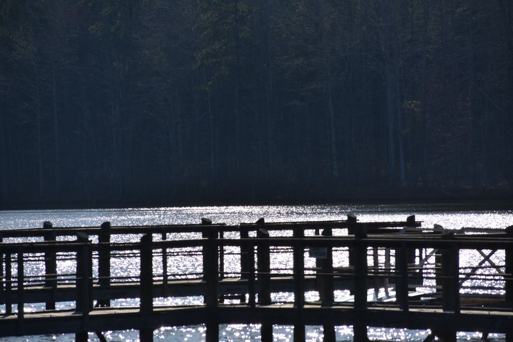 A short pier over Lake McIntosh