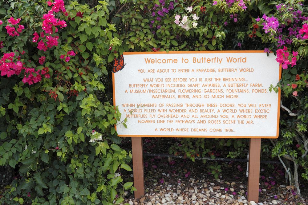 Welcome sign of Butterfly World