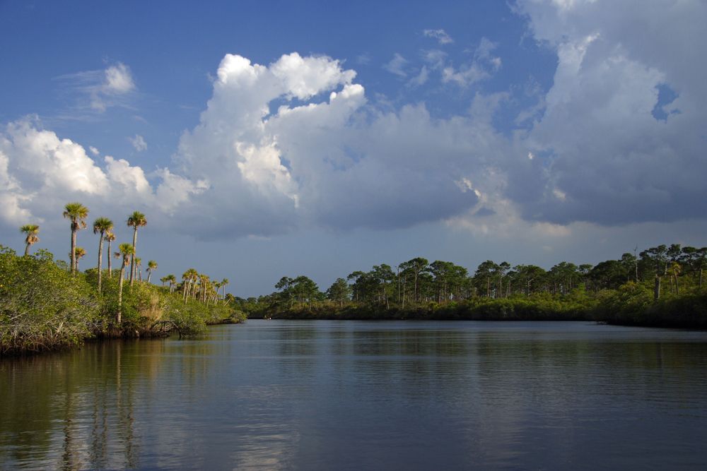 The calm waters of Loxahatchee River