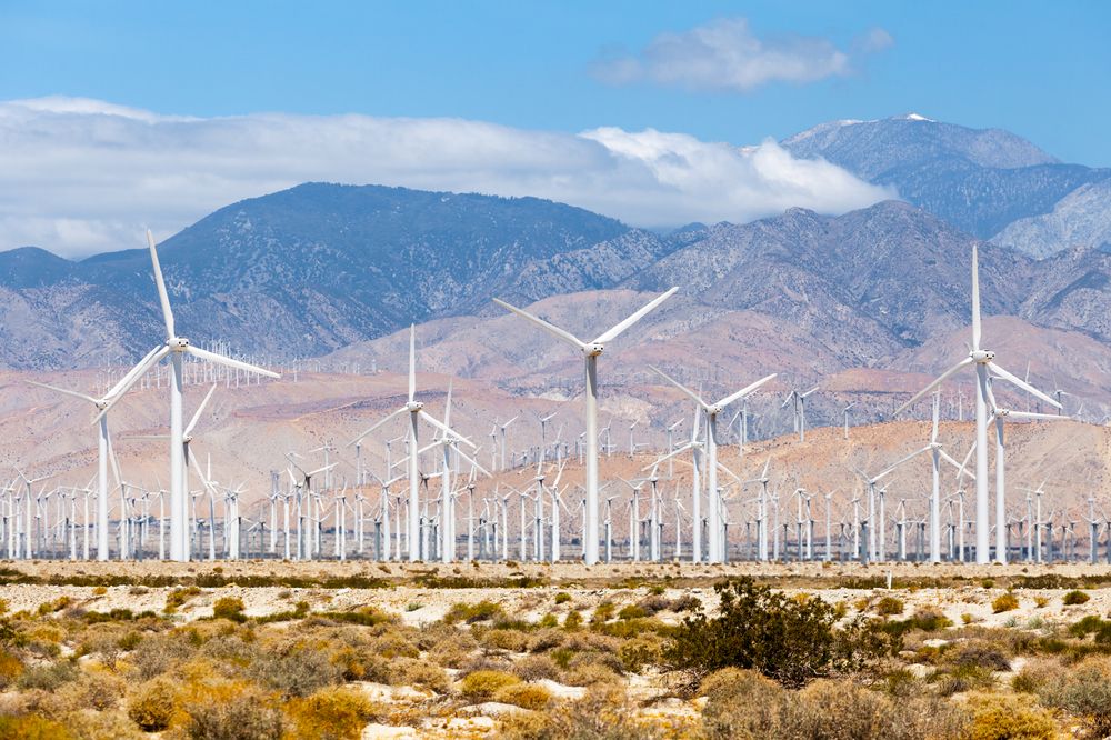 Windmills at Palm Springs